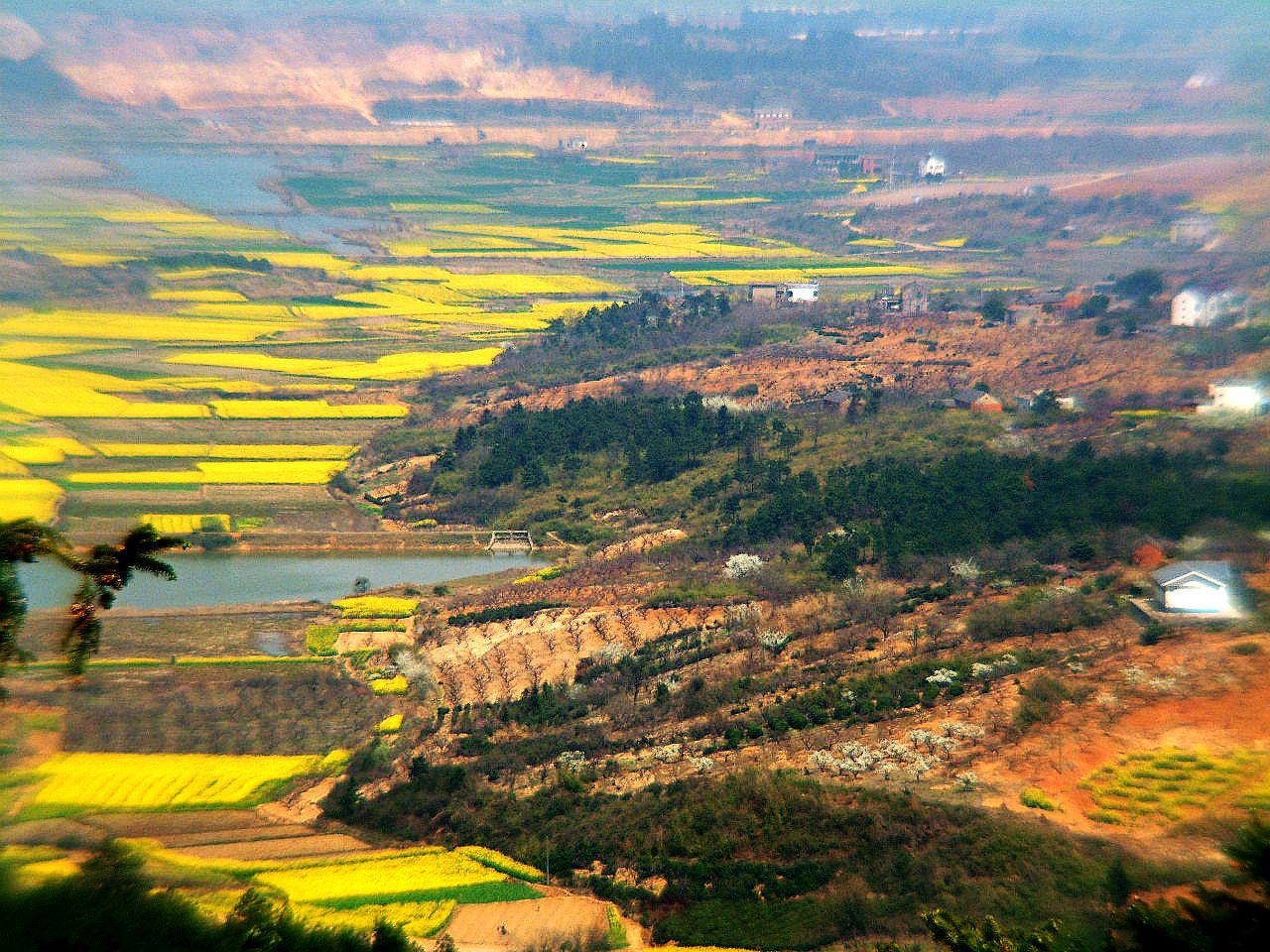 ԶͿͲ˻............(ڴɽɽ)