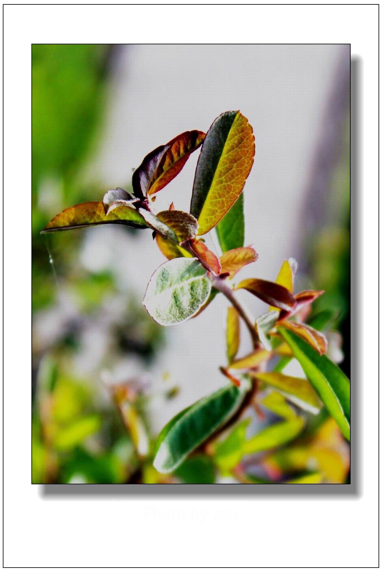 [PP]  [e]IMG_0450.jpg