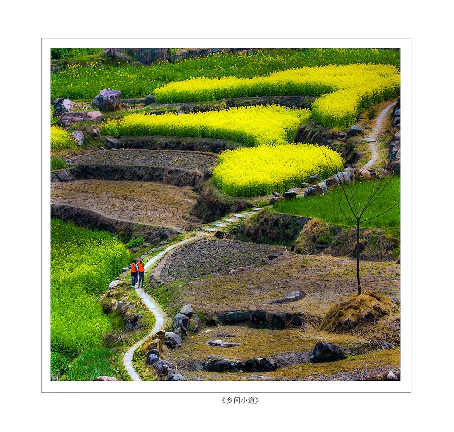 120607215841820995ed12616d .jpg