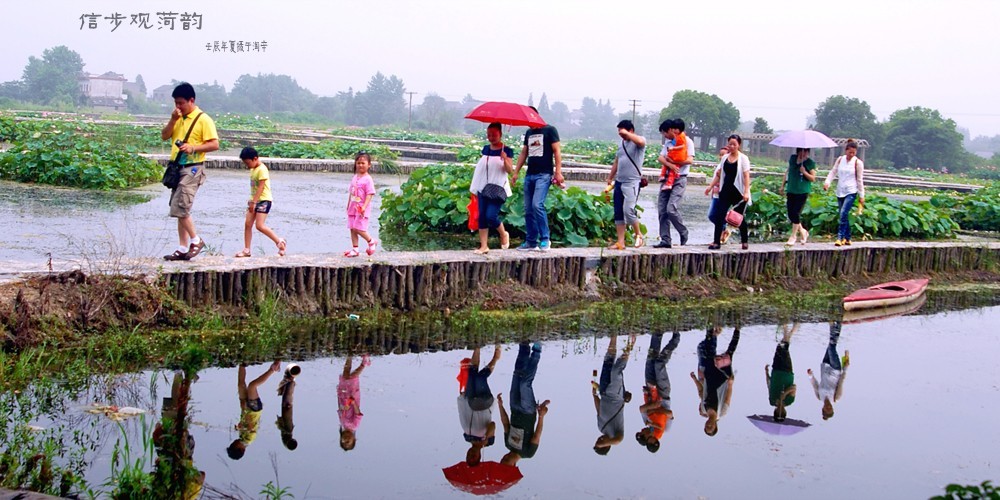  (2) DSC_5075_conew3.JPG