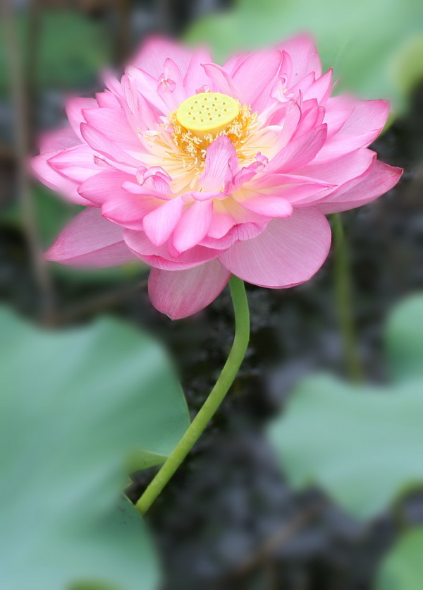 2012.4.17 175_conew1.jpg