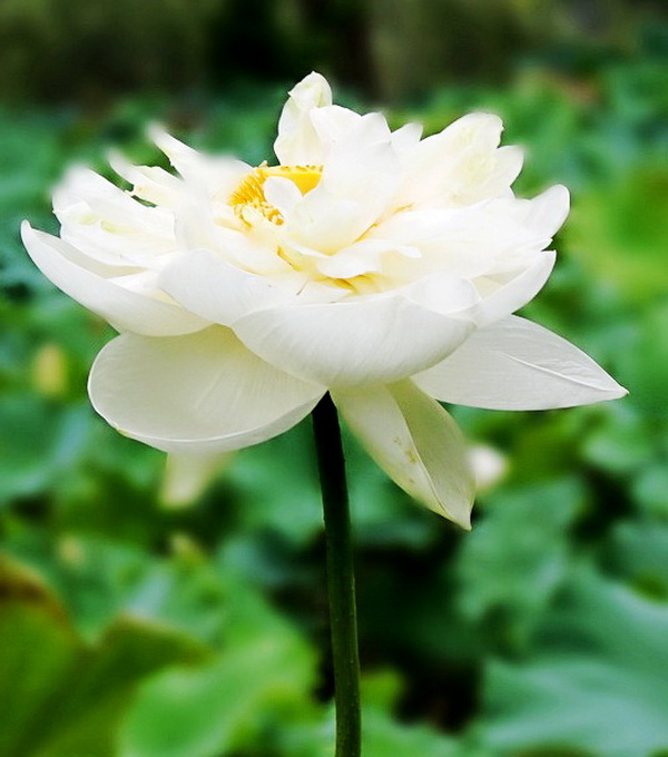 2012.4.17 188_conew3.jpg