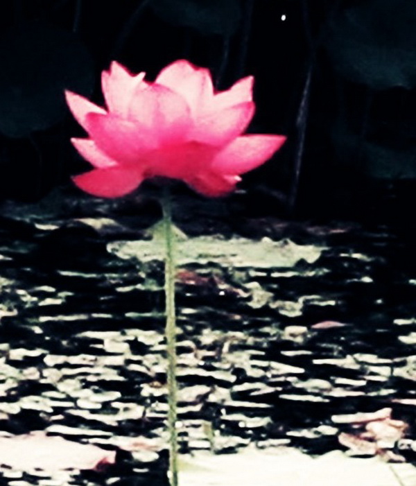 2012.4.17 359_conew2.jpg