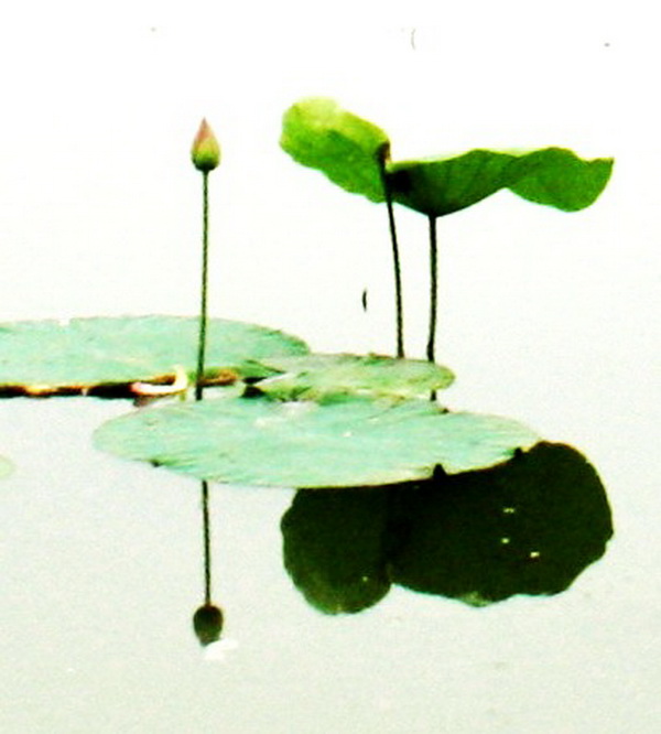  2012.4.17 264_conew1.jpg