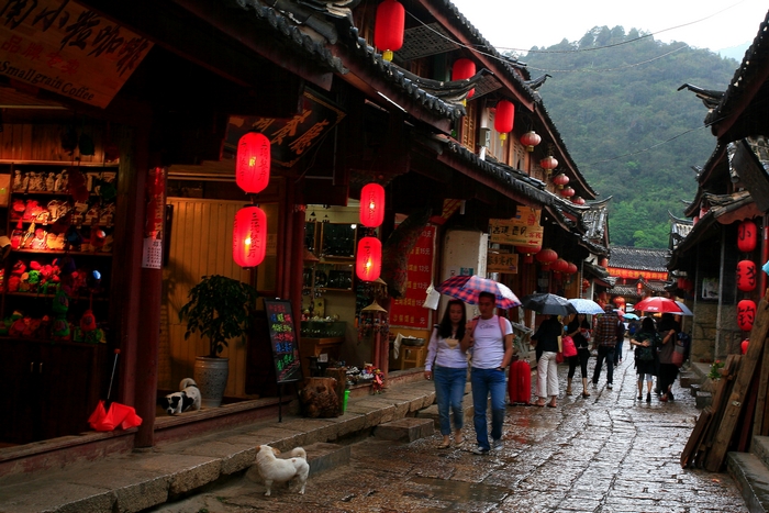 ֽĴҹʯ·װɵľưɢŨŨĻɷ飬һסΪ顷 ...