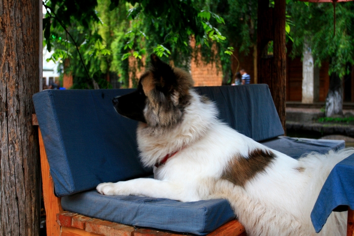 ǣЩߣһԼ뷨ϵĴһ˿һĹųǣ ...