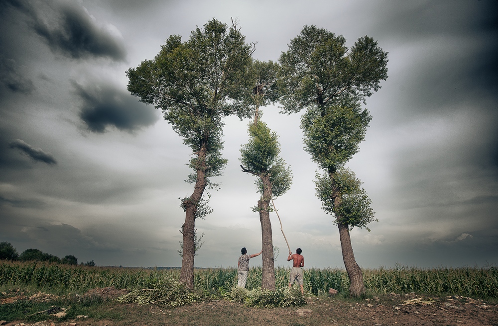 _DSC1727  ֮䡷ss.jpg