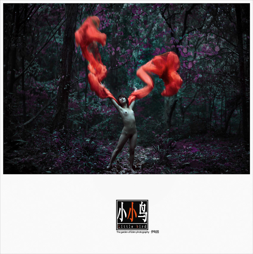 12090923489d1dad97937b3fdc .jpg