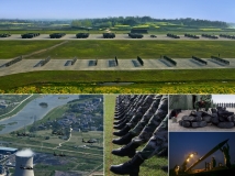 ʡ17Ӱչ񽱡ѡƷչʾʵࣩ